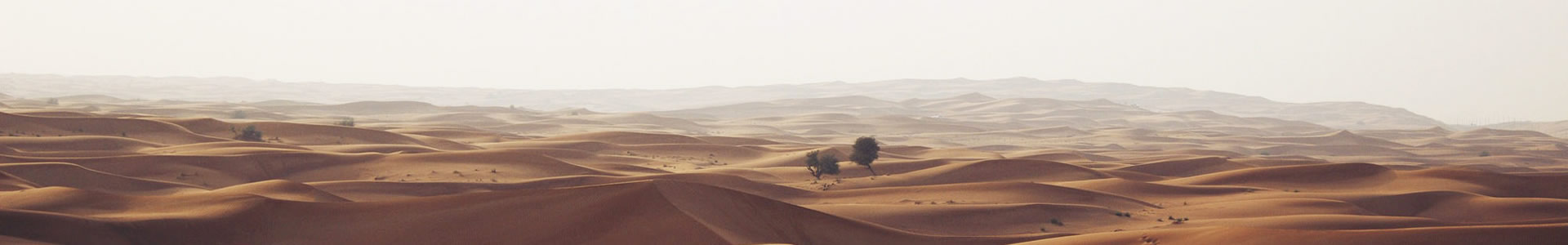 ĳǶ
